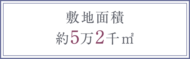 敷地面積