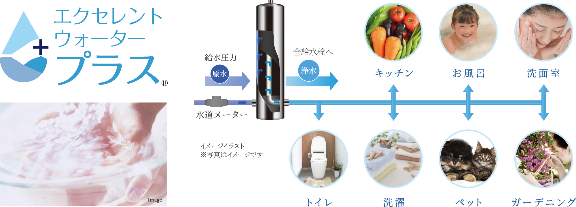 エクセレントウォータープラス