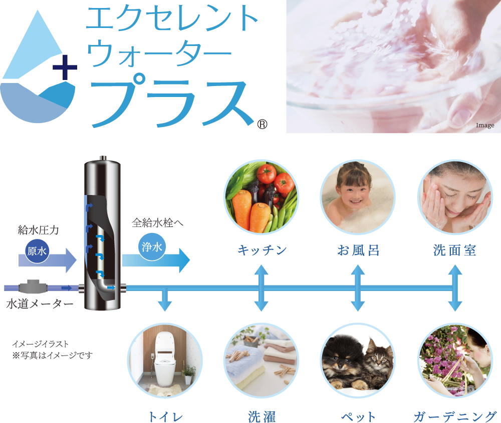 エクセレントウォータープラス