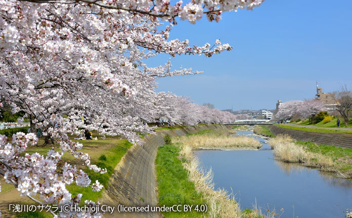 浅川