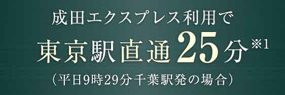 成田エクスプレス利用で東京駅直通25分※1