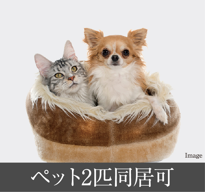 ペット２匹同居可