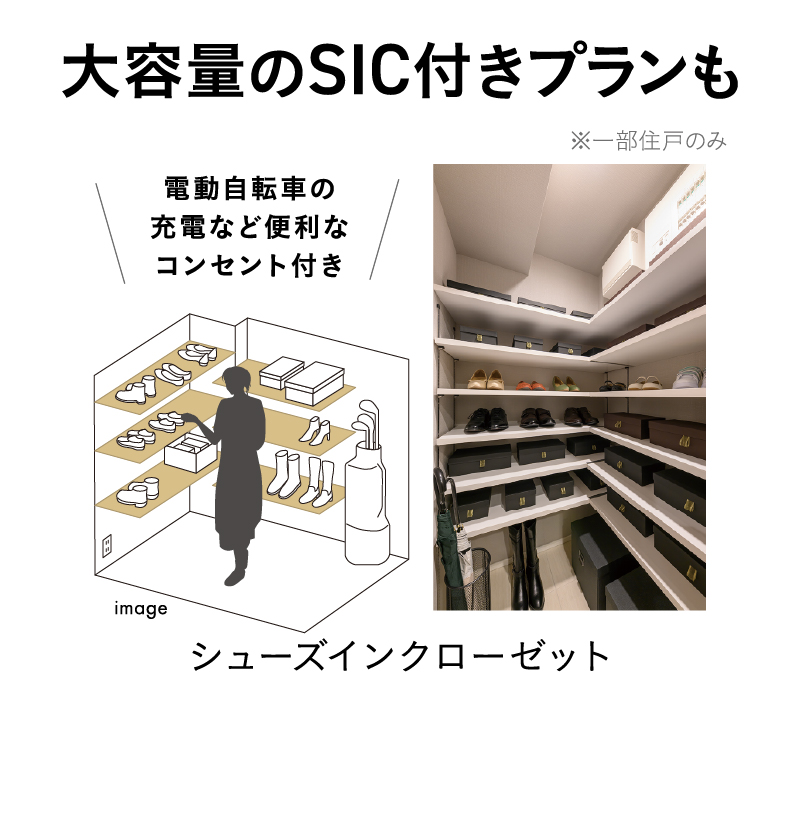 大容量のSIC付きプランも