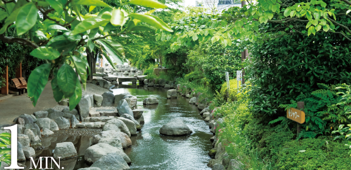 一之江境川親水公園