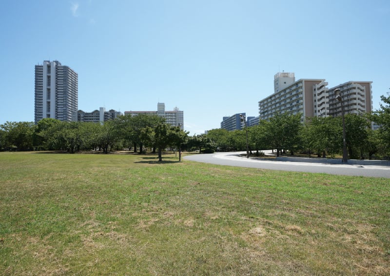 大島小松川公園