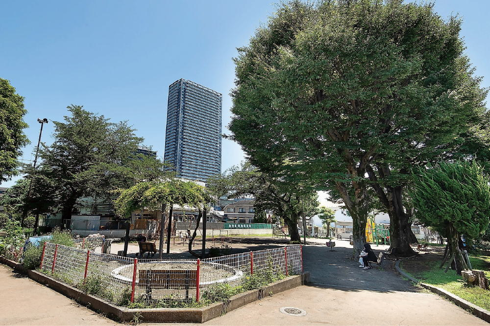 桜が咲き誇る美しき公園