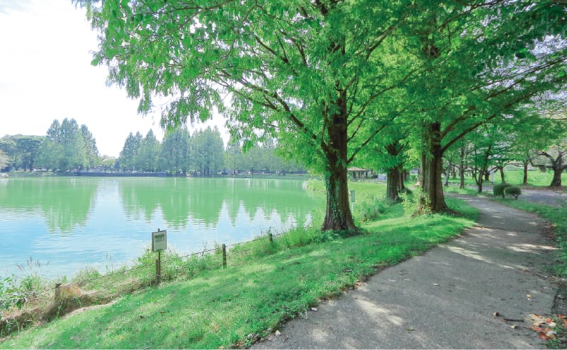 川越公園 (川越水上公園) (車7分)