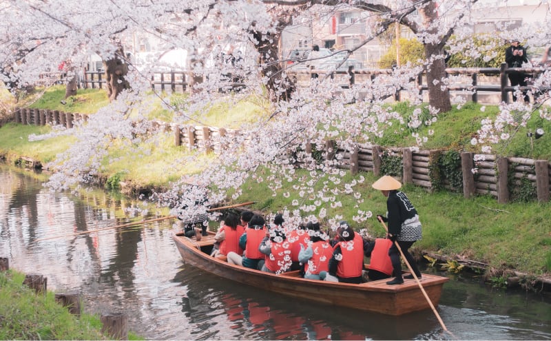 小江戸川越春まつり (3月)