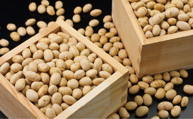 節分会 (喜多院) (2月)