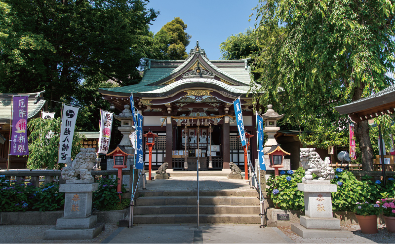 夏越茅の輪くぐり (6月)