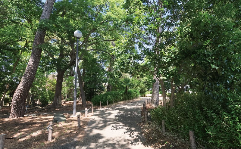 平田特別緑地保全地区