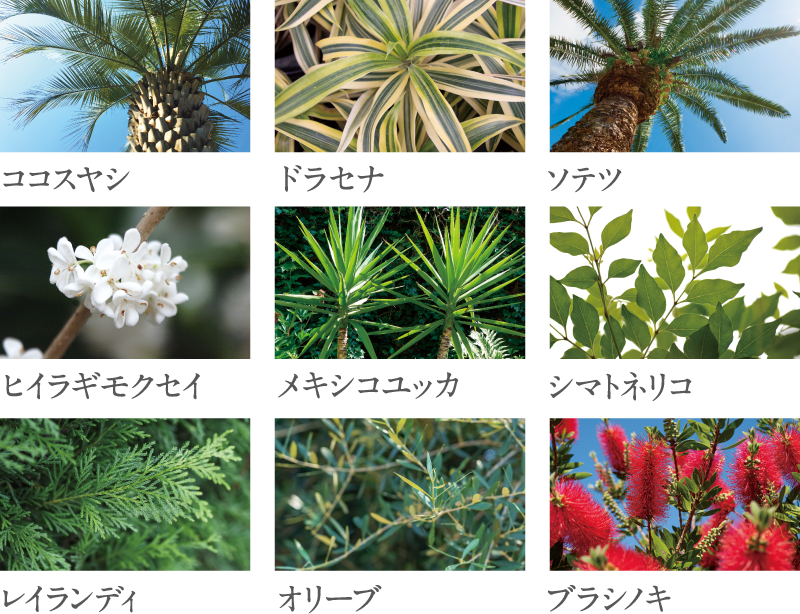 Planting Design
