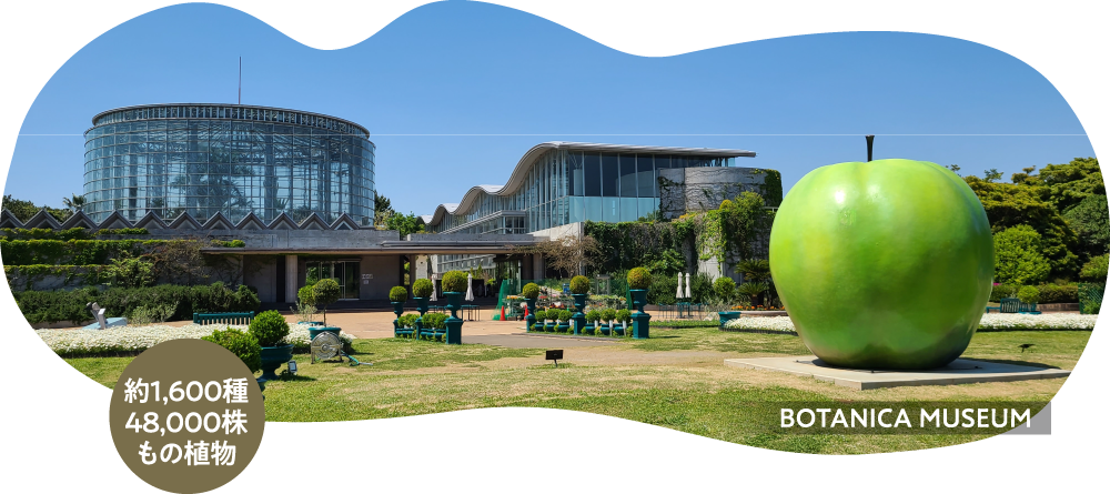 BOTANICA MUSEUM