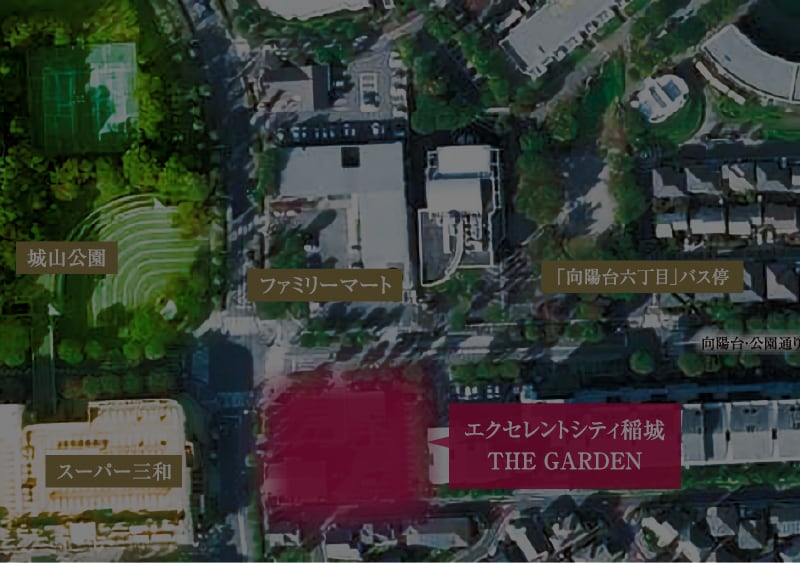 ポジション