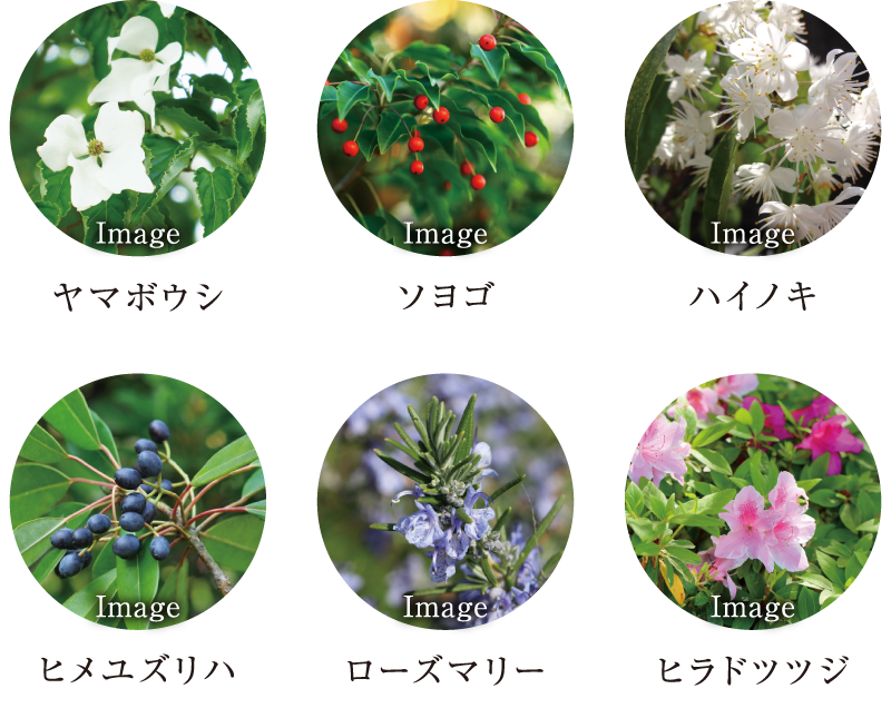 南傾斜地の広がりと豊かな陽差しを楽しむ