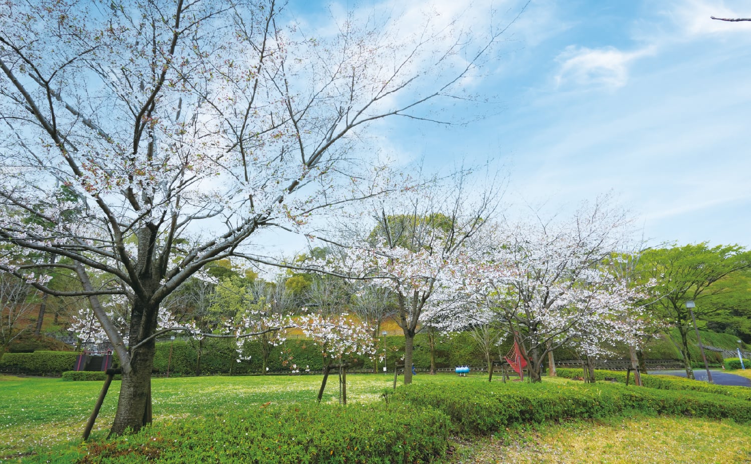 城山公園