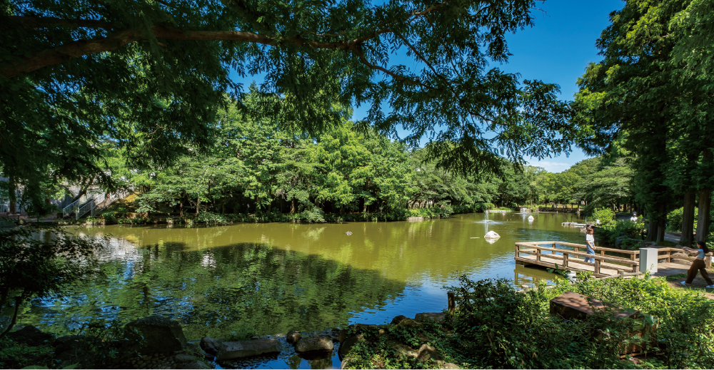 道野辺中央一丁目公園