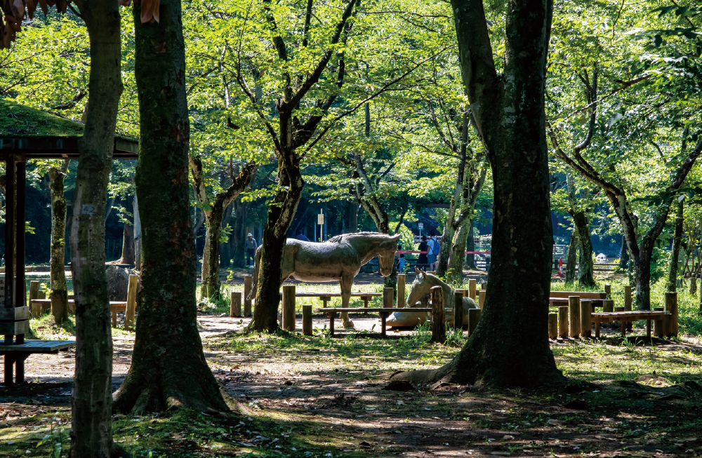 道野辺中央一丁目公園