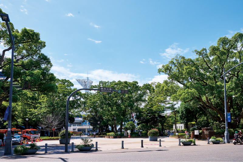 横浜公園