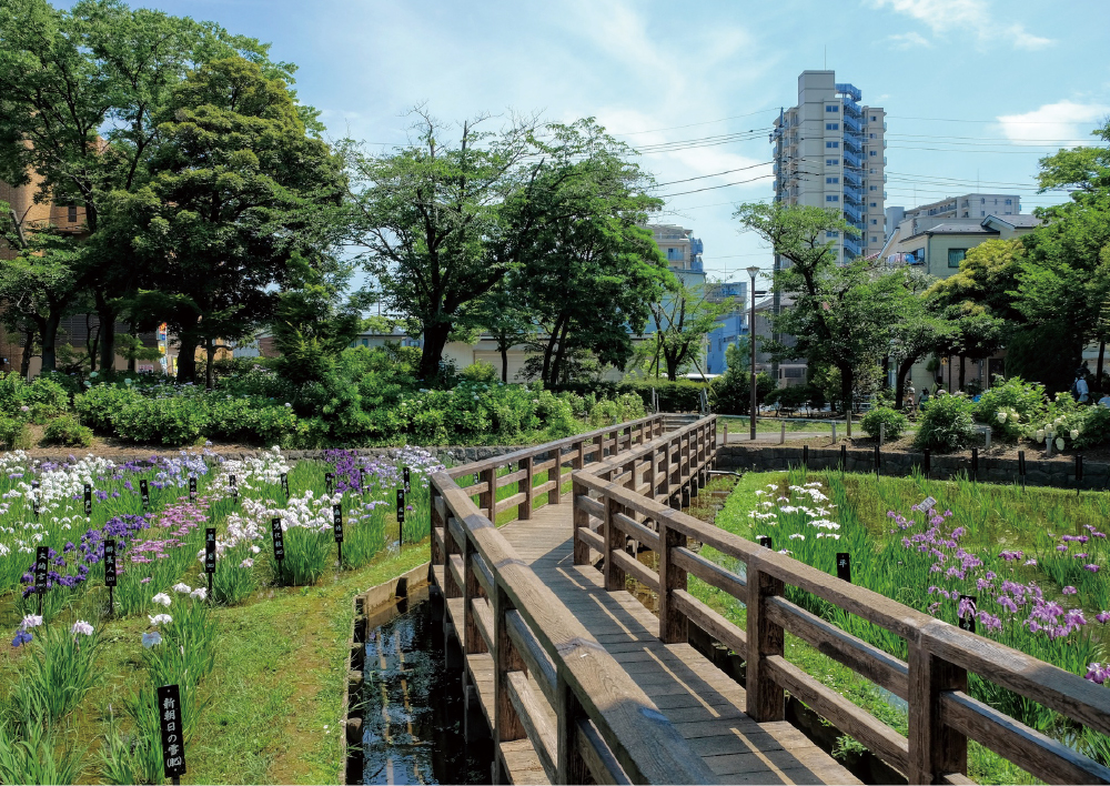 しょうぶ沼公園