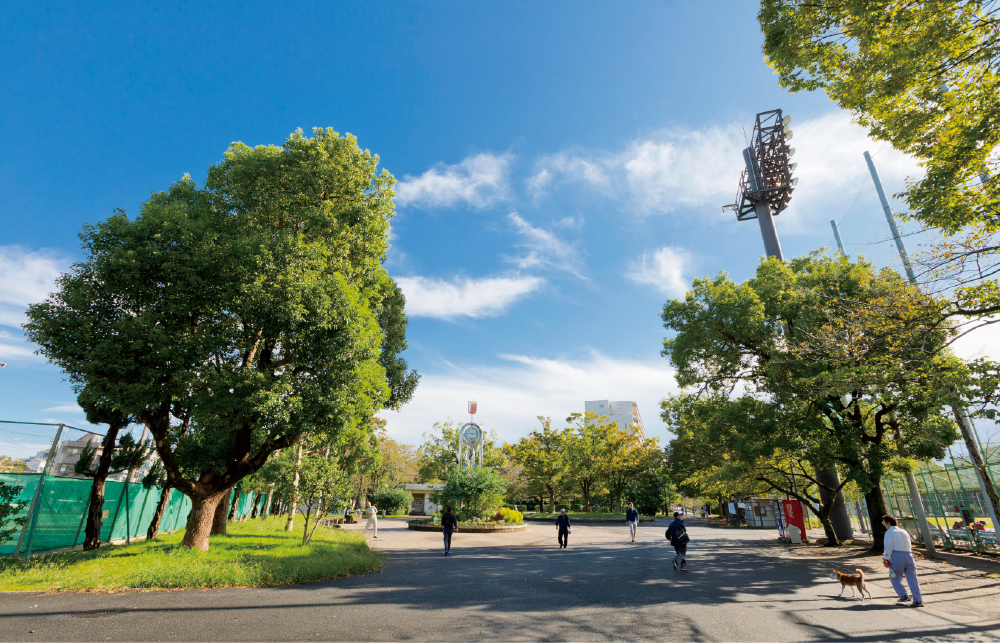 都立東綾瀬公園