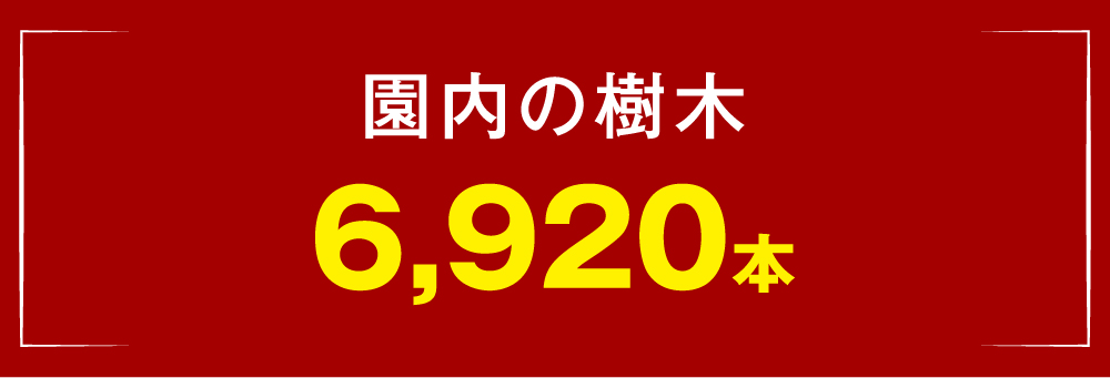 都立東綾瀬公園