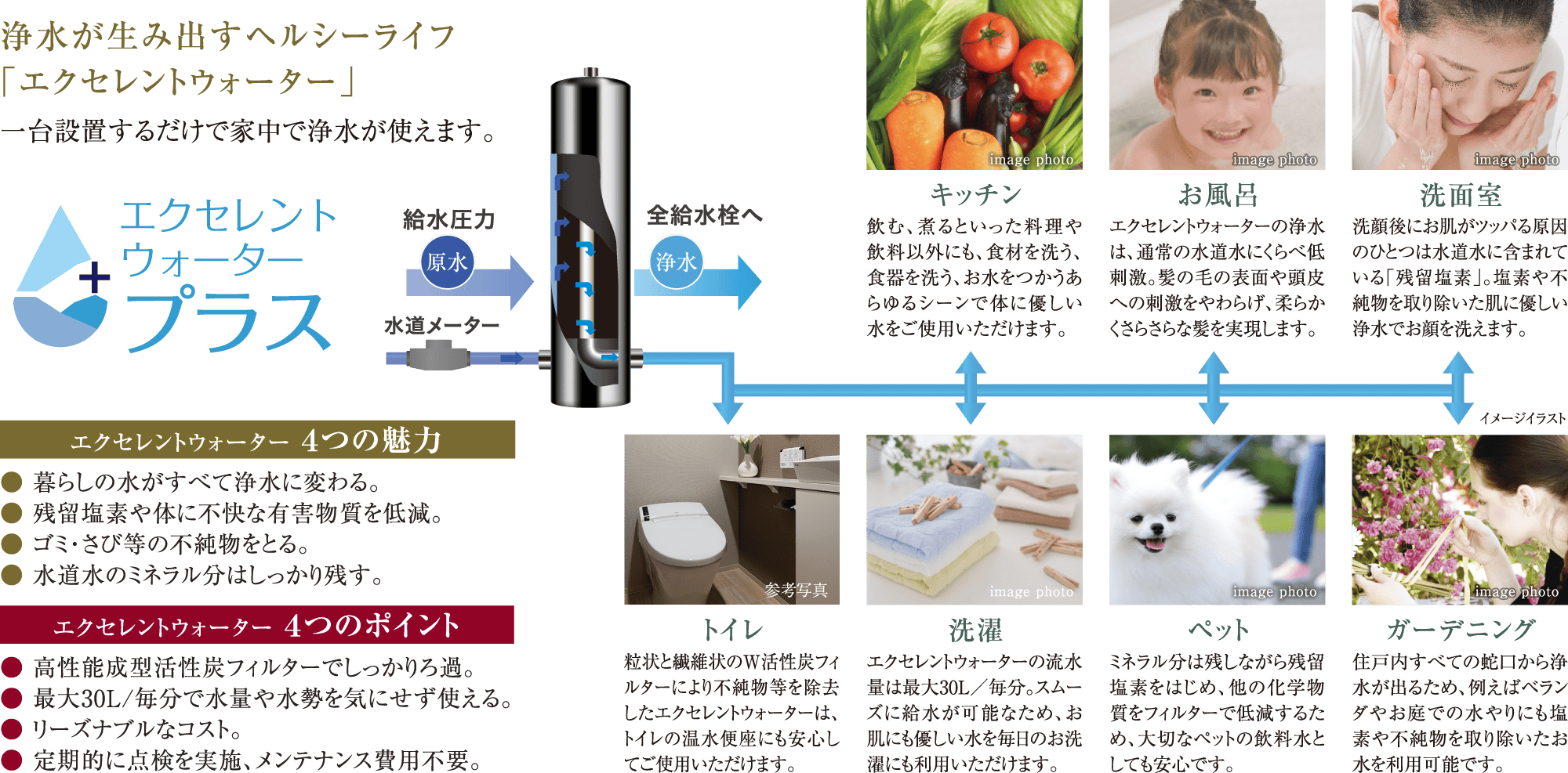 エクセレントウォータープラス