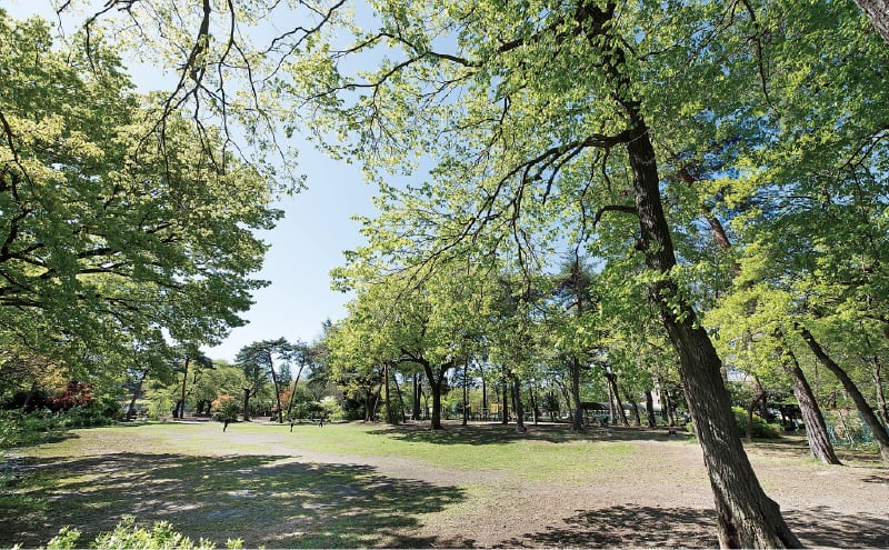清瀬市立中央公園