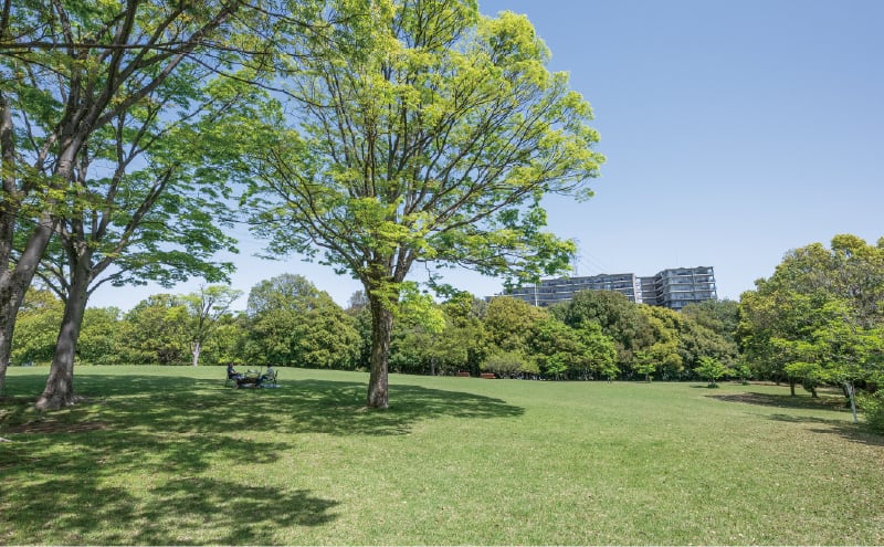 貝取北公園