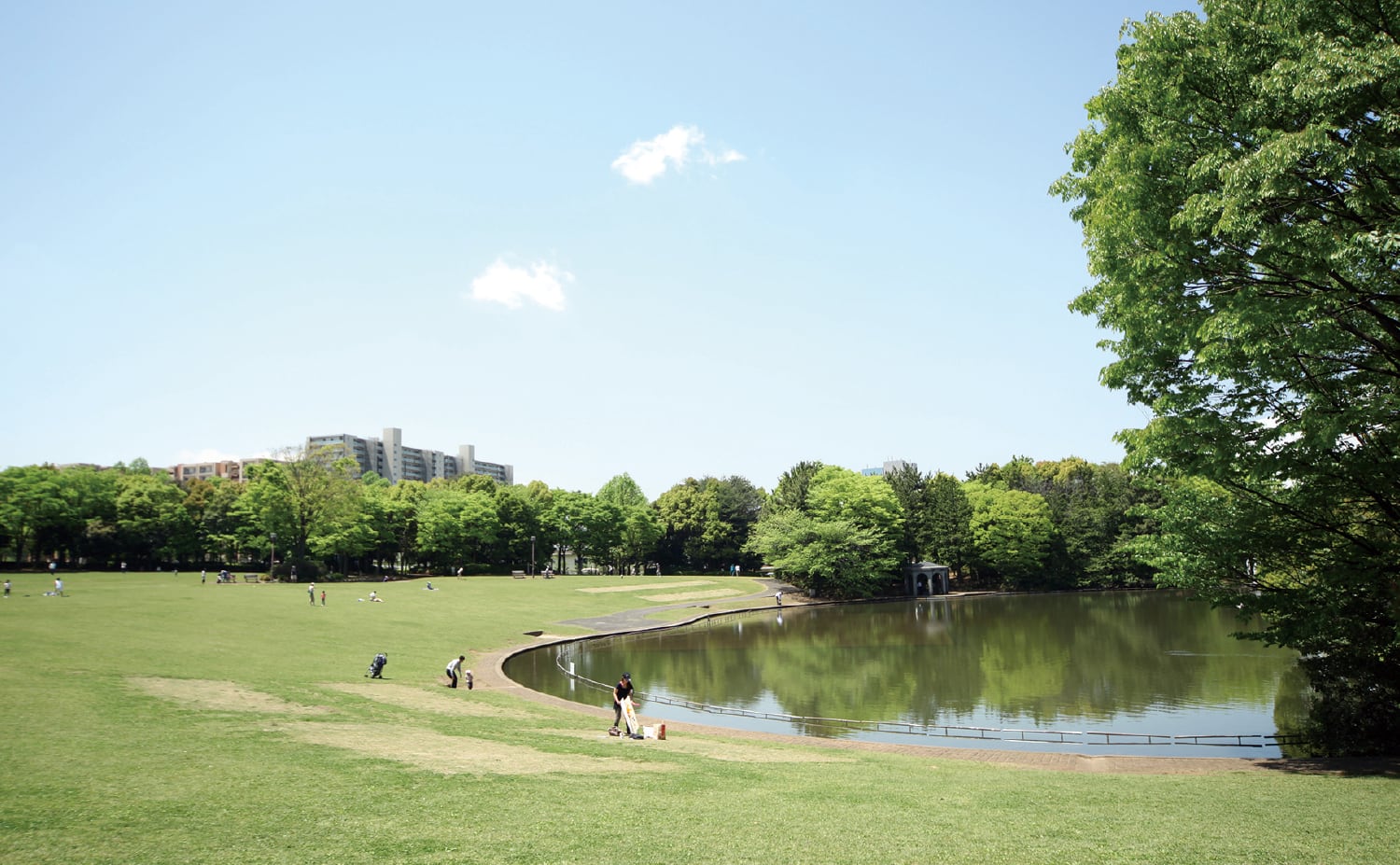 多摩中央公園