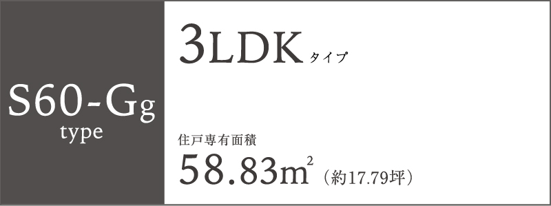 S60-Gg type