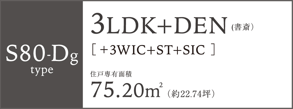 S80-Dg type