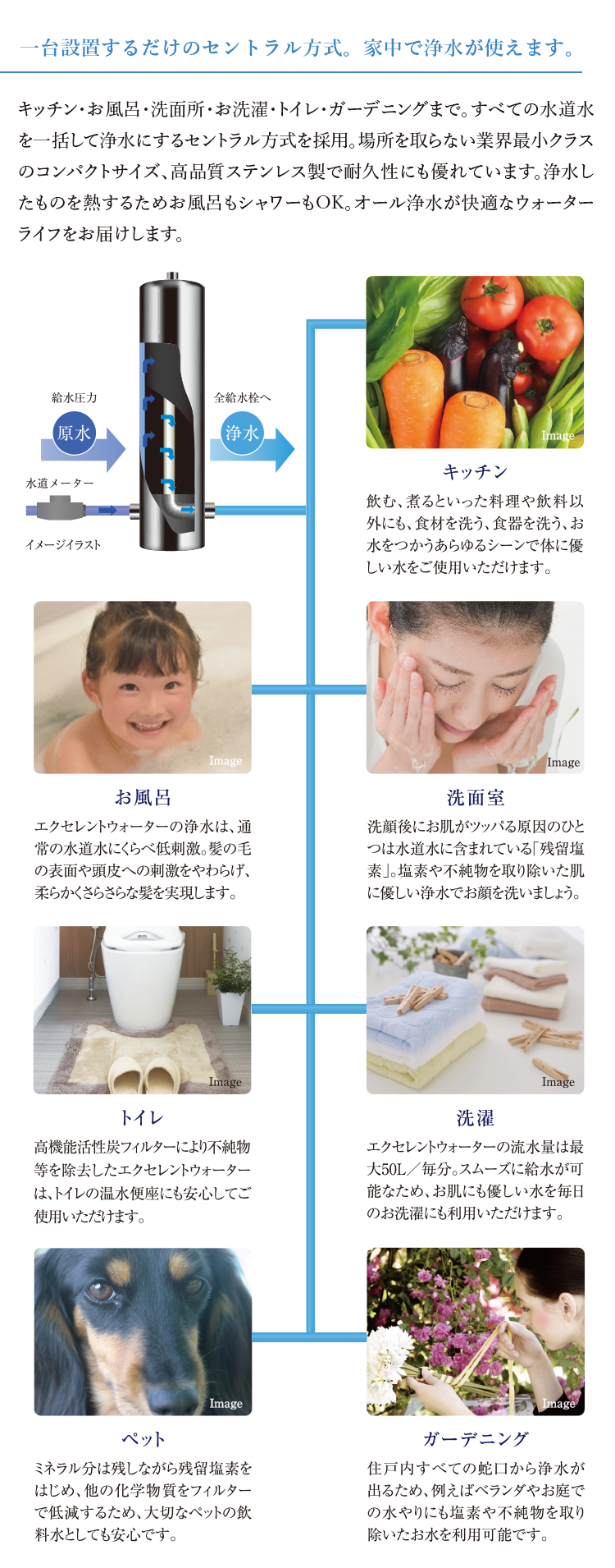 よう ざん りゅう の ね つ りん