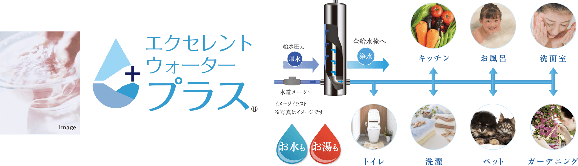 エクセレントウォータープラス
