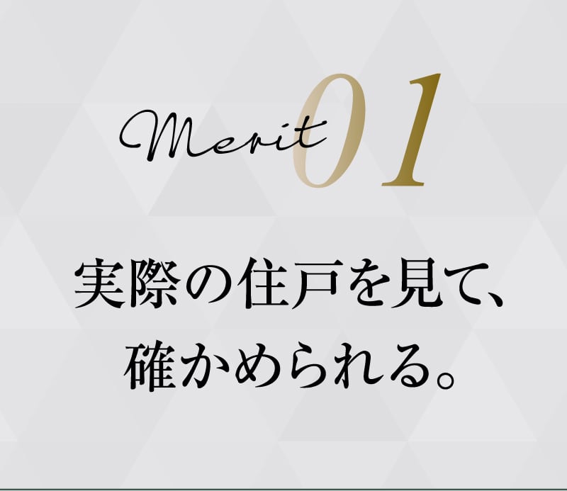 merit01
