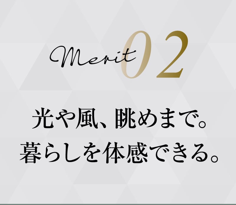 merit02