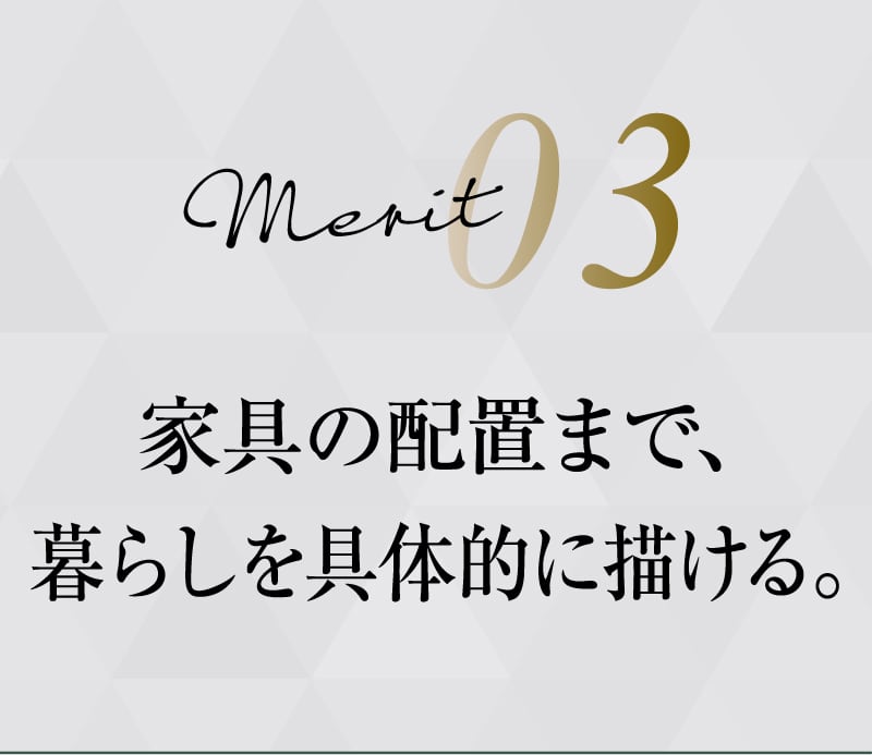 merit03