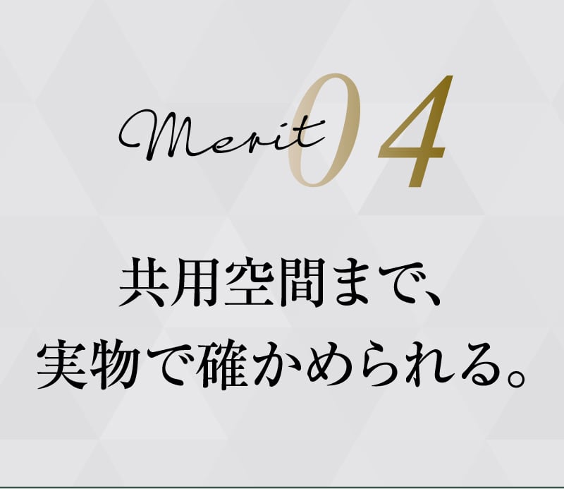 merit04