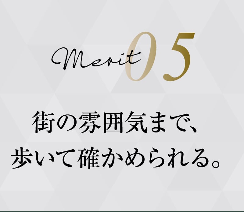 merit05