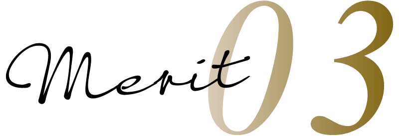 merit03