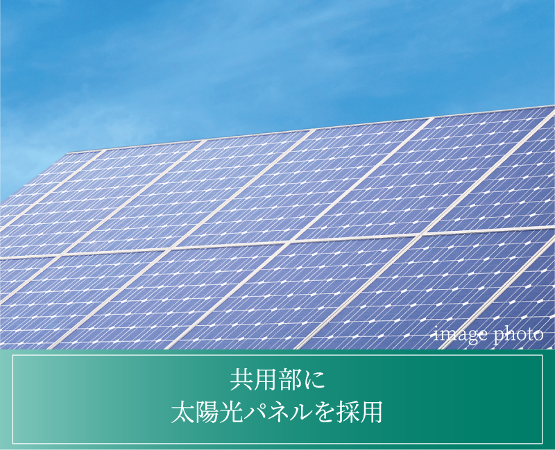 共用部に
太陽光パネルを採用