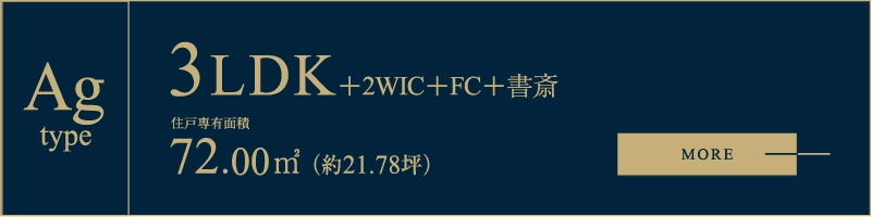 Ag type