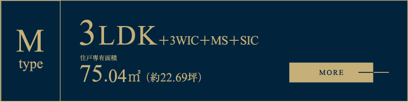 M type