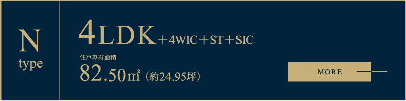 N type
