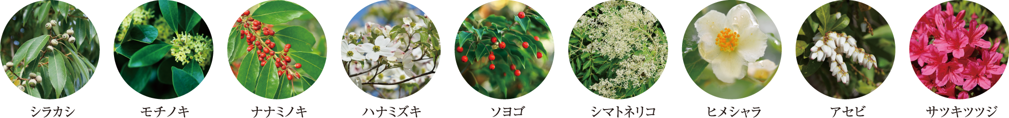 季節の華やぎを運ぶ、豊富な植栽プラン