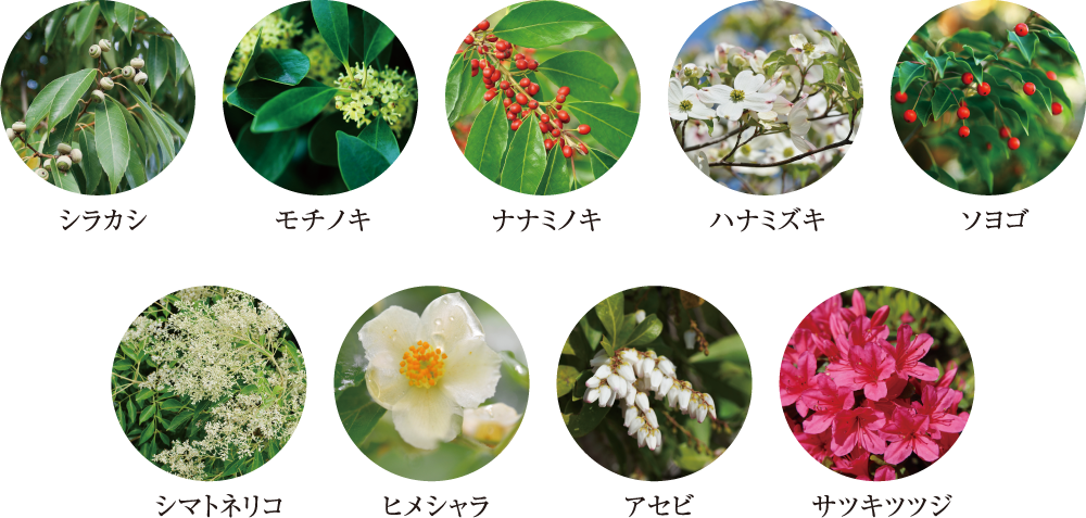 季節の華やぎを運ぶ、豊富な植栽プラン