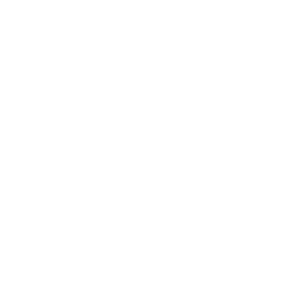 PARK SIDE
