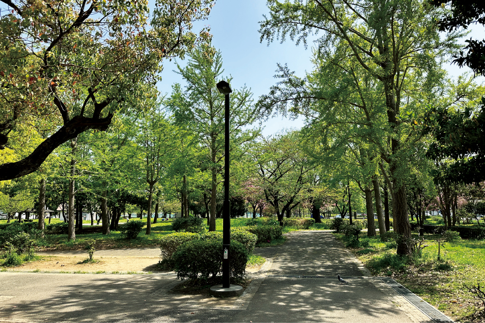 鎌篠崎公園