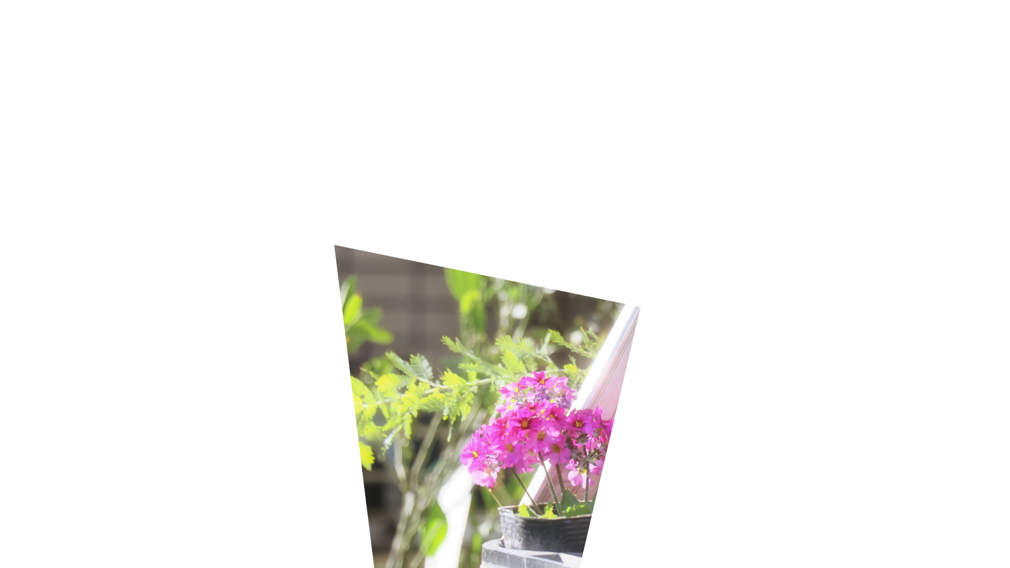 暮らしの中心がここにある。