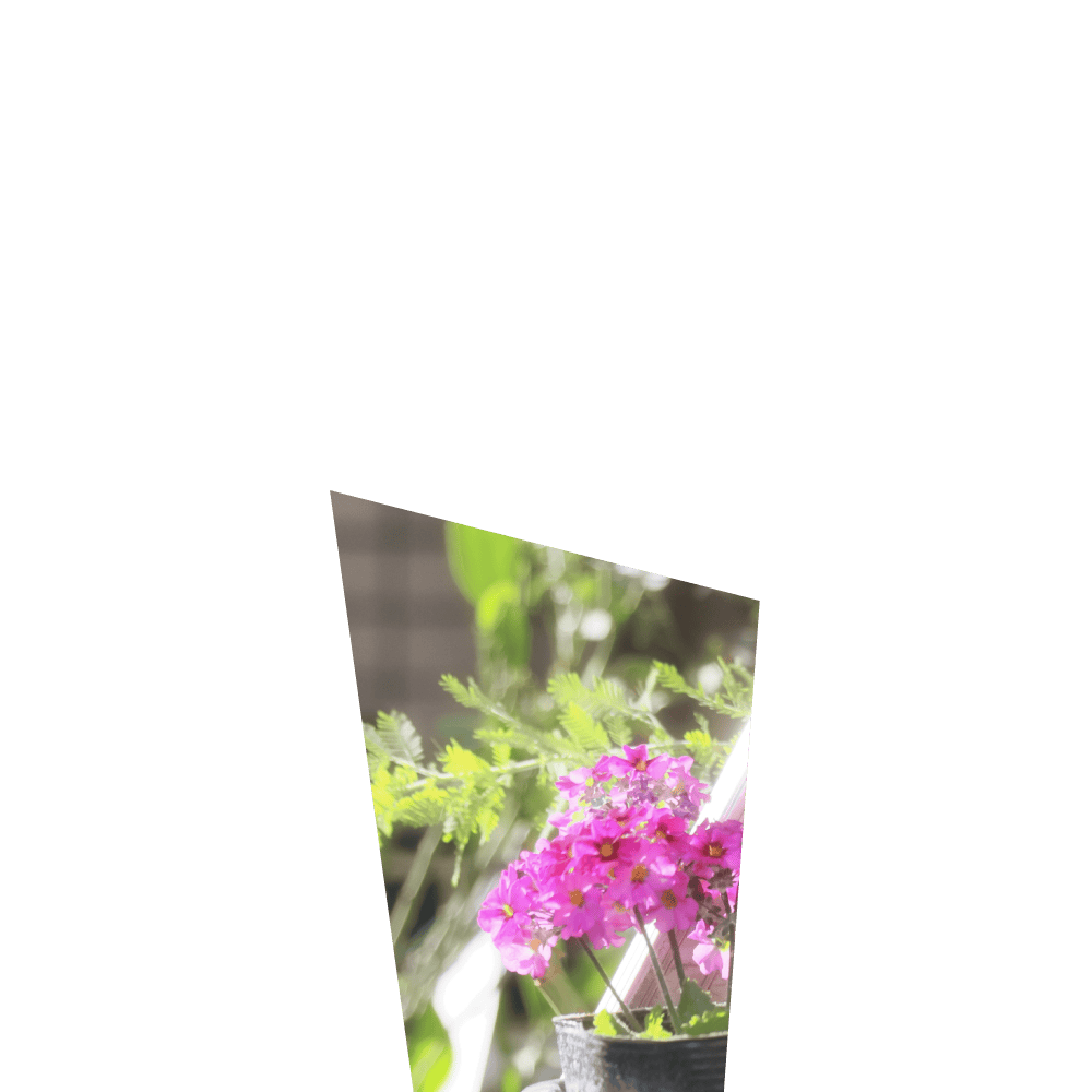 暮らしの中心がここにある。